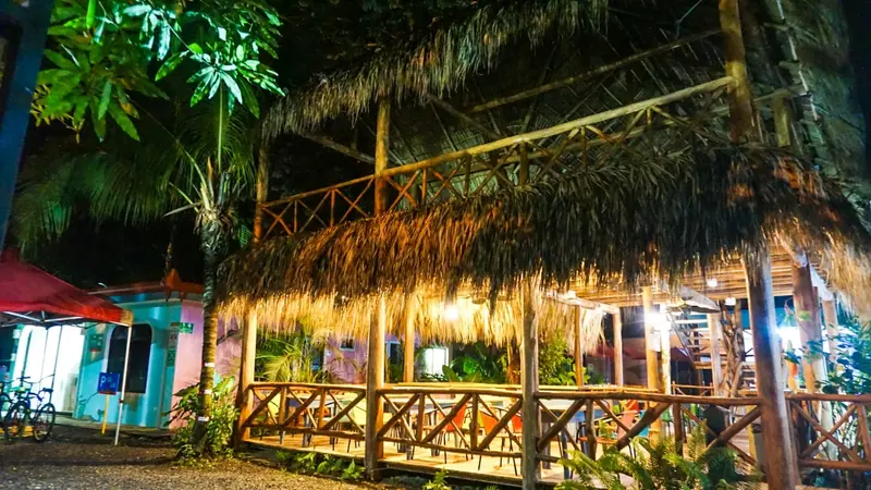 Rancho de techo de palma iluminado de noche entre la vegetación