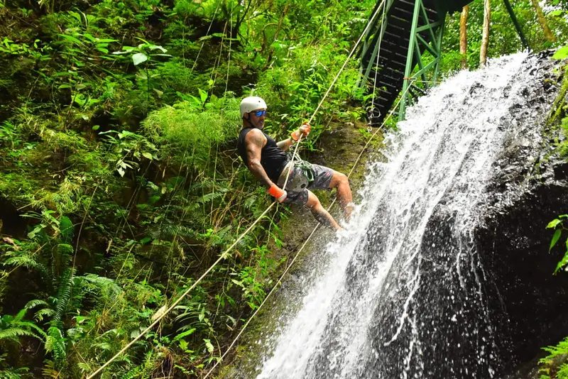 Persona descendiendo en rápel por una cascada en la selva