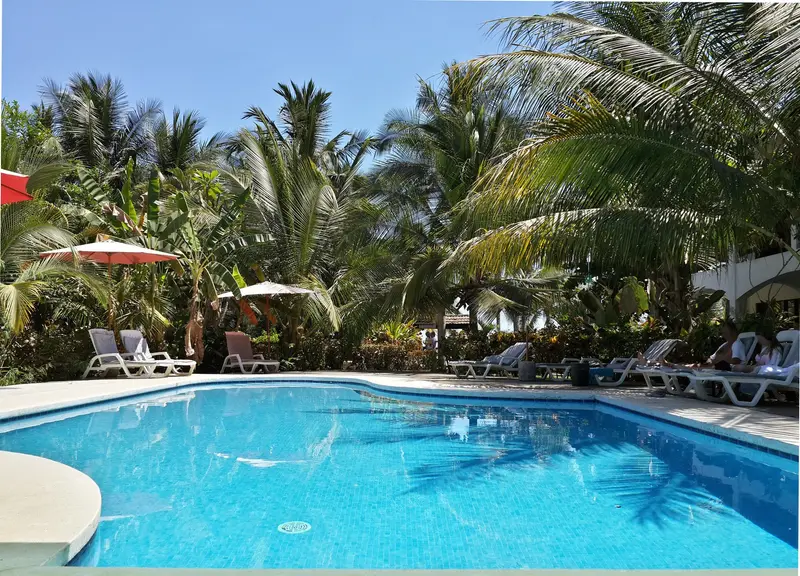 Piscina azul rodeada de palmeras, con sombrillas rojas y reposeras