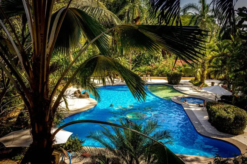 Piscina de forma libre rodeada de palmeras y vegetación tropical