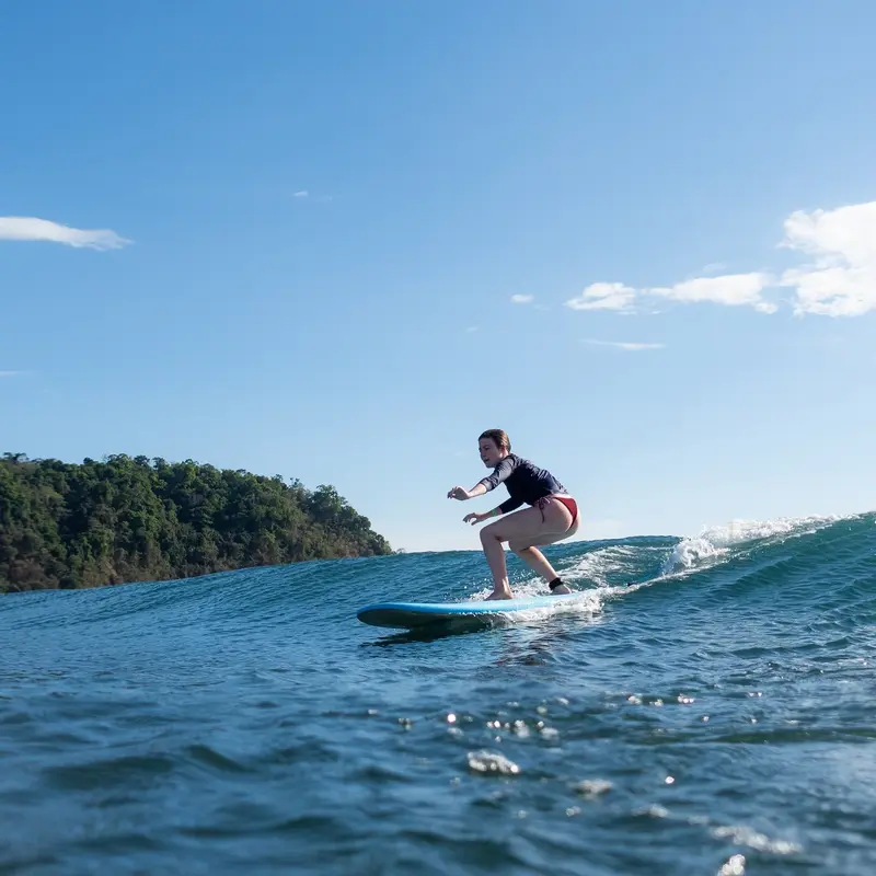 Surfer standing on a board on a wave with the green coastline behind