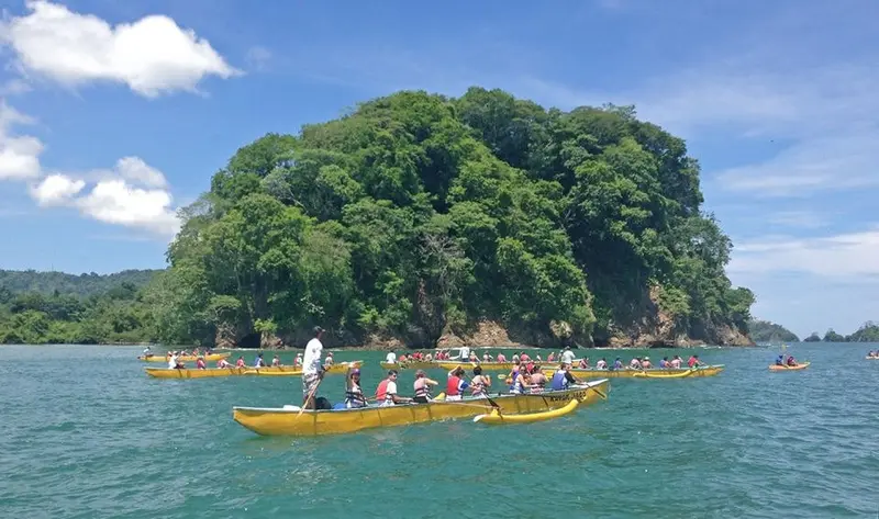 Canoas outrigger amarillas con remeros frente a una isla boscosa en el mar