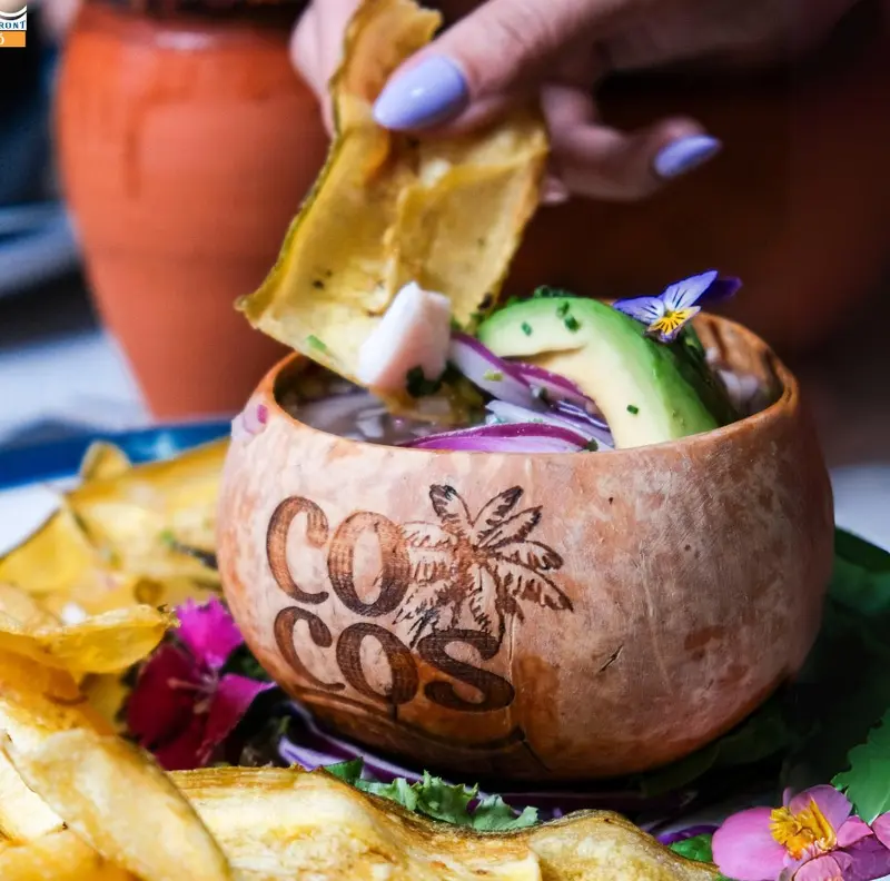 Bowl servido en un coco natural con aguacate y chips de plátano, junto a más chips