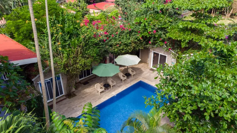 Vista aérea de la piscina entre jardines con flores, sombrillas y una habitación