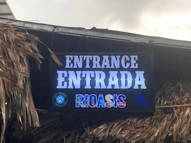 Letrero luminoso «Entrada / Entrance Rioasis» bajo un techo de palma