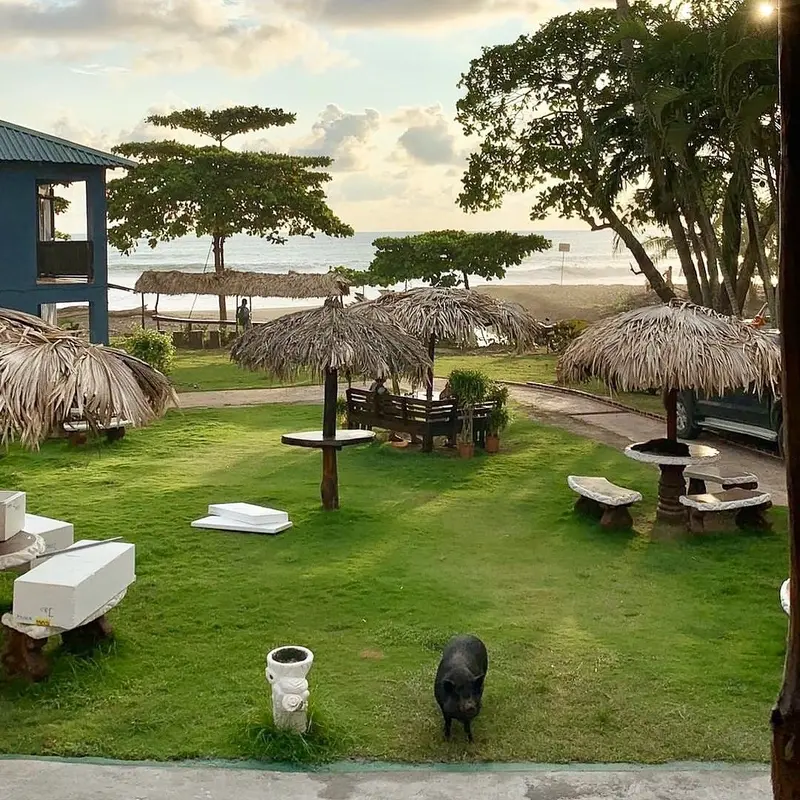 Jardín con ranchos de palma, bancas y árboles frente al mar, con una cerdita en el césped