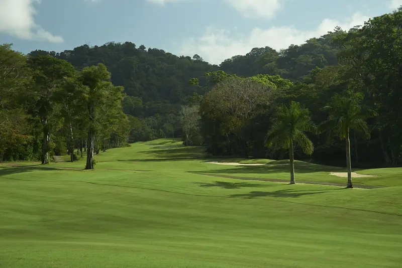 Calle de césped con palmeras y bosque tropical al fondo, con un búnker de arena a lo lejos
