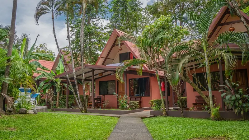 Bungalows de techo en A entre jardines con palmeras y un sendero de piedra