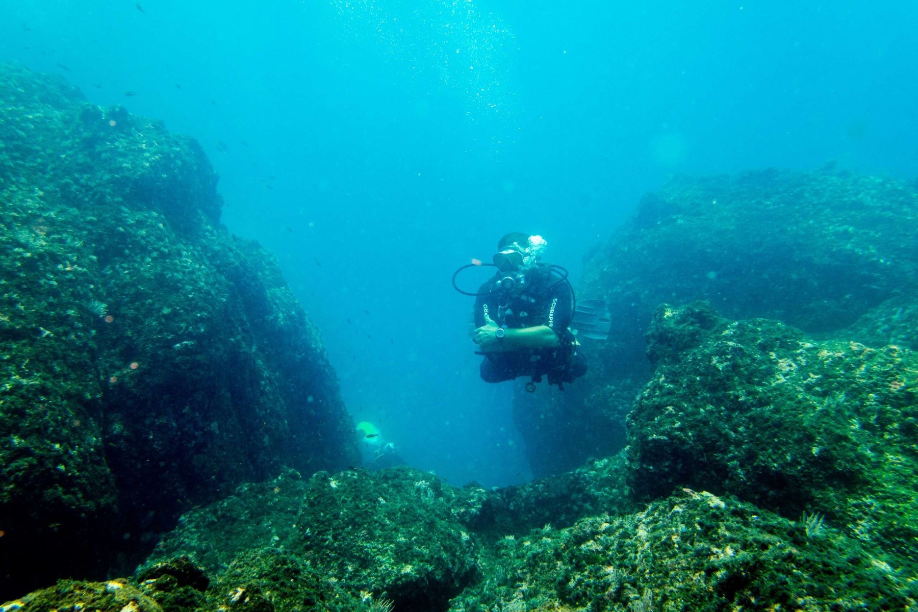 Jaco Guides Dive Shop — Actividad