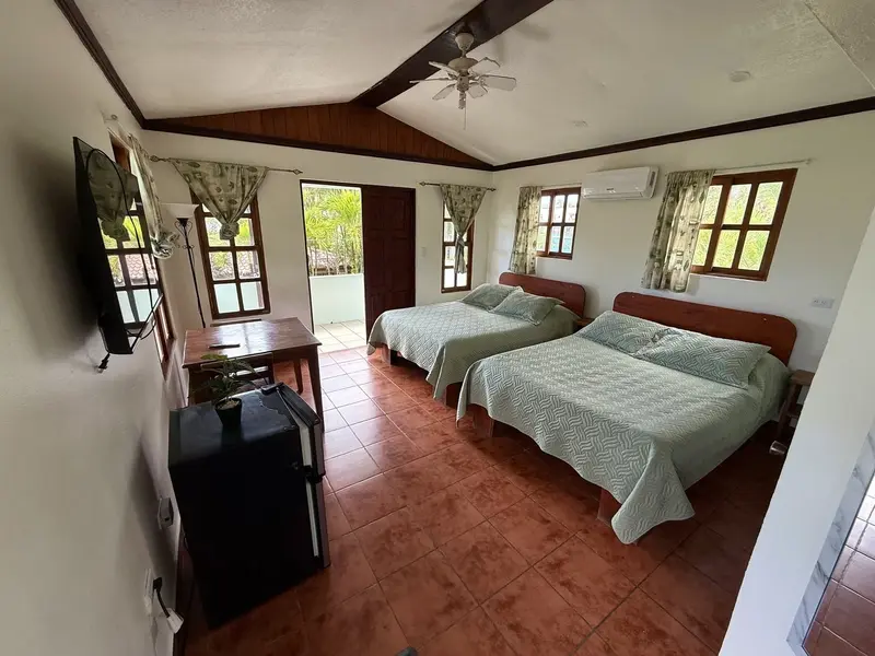 Habitación con dos camas de colcha verde, televisor y puerta abierta a la terraza