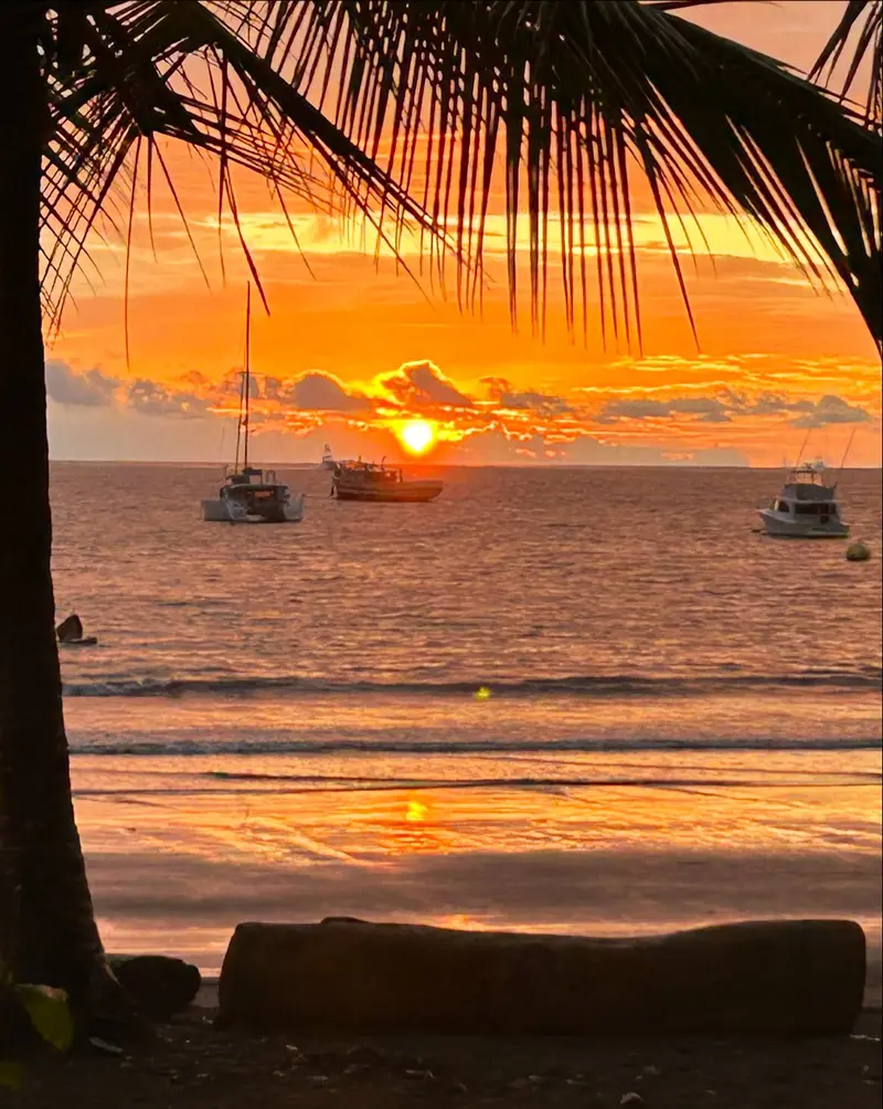 Atardecer naranja sobre el mar con tres veleros anclados, visto bajo una palmera