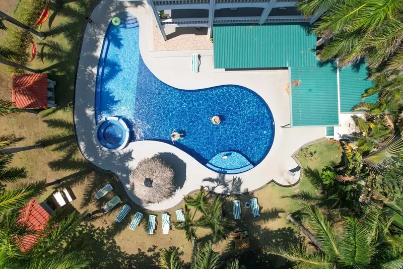 Vista aérea de la piscina entre palmeras, con palapas y reposeras