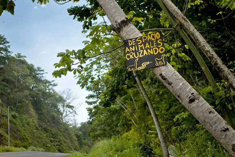 Sendero de selva con un letrero de madera que advierte del cruce de animales