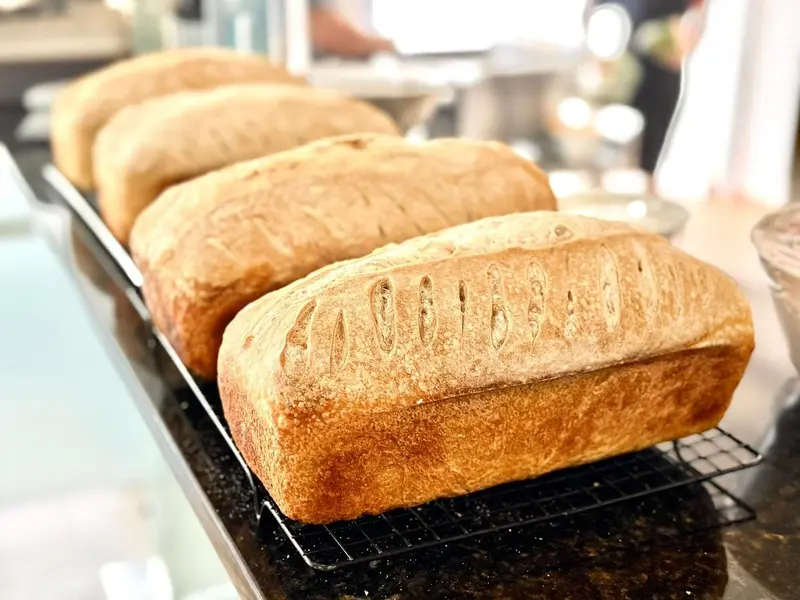 Cuatro panes artesanales recién horneados sobre una rejilla