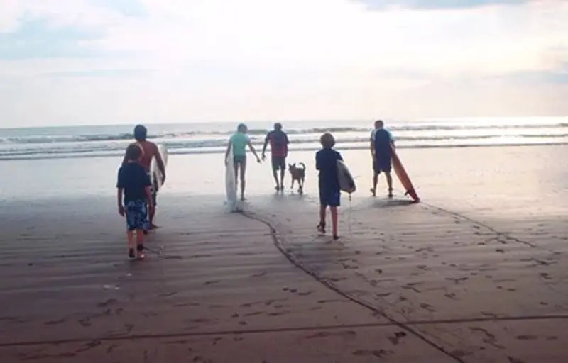 Grupo caminando hacia el mar con tablas al amanecer sobre la arena mojada