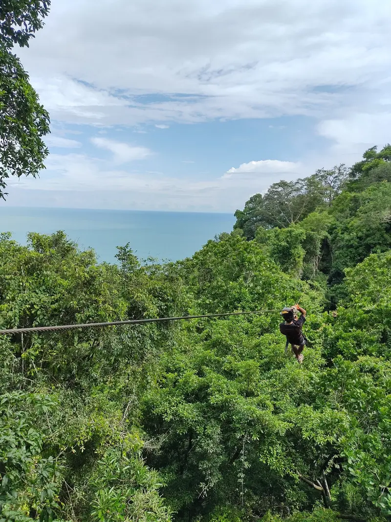 Zipline crossing over the forest with the sea in the background