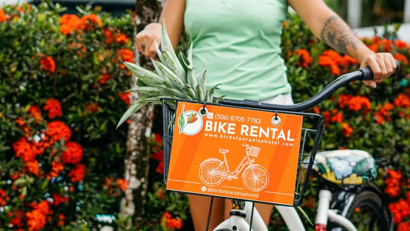 Bicicleta con canasta de alquiler del hotel entre flores naranjas