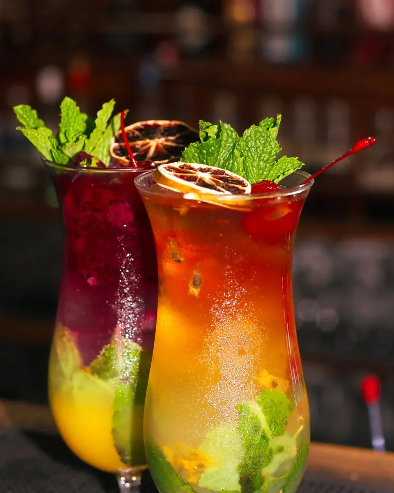Dos cócteles altos de frutas, uno morado y otro anaranjado, con menta y rodajas deshidratadas