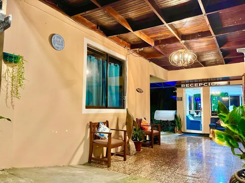 Recepción con techo de madera, sillas de madera, plantas y la puerta de vidrio del lobby