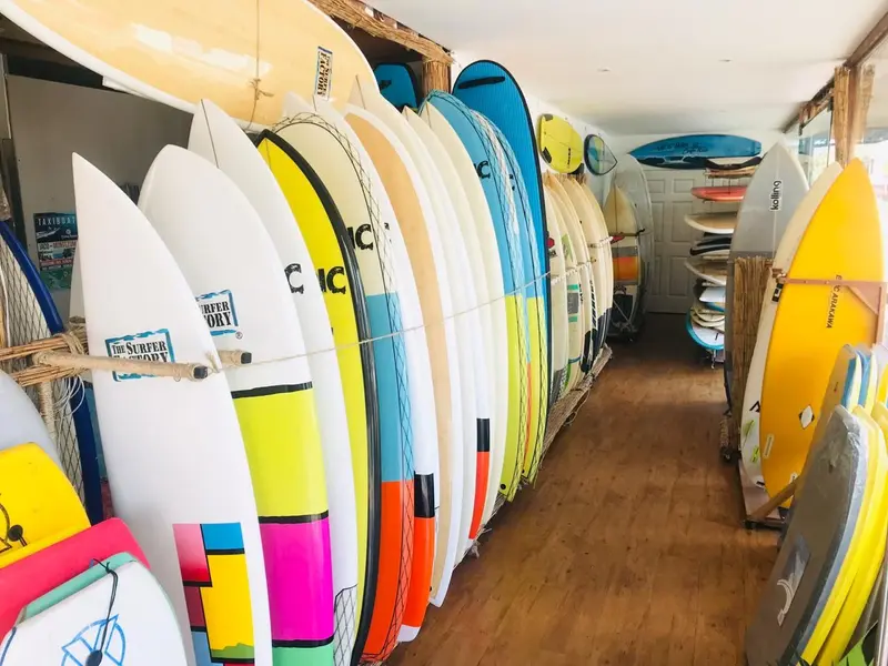 Pasillo de la tienda con tablas de surf de varios colores apoyadas en la pared