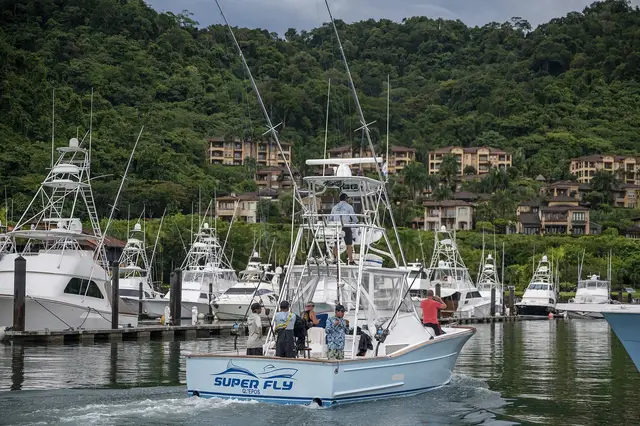 Maverick Sportfish