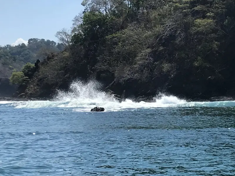 Estela de espuma sobre el agua junto a una ladera boscosa de la costa