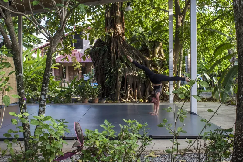 Persona haciendo una parada de manos sobre una plataforma oscura, en un jardín con árboles grandes