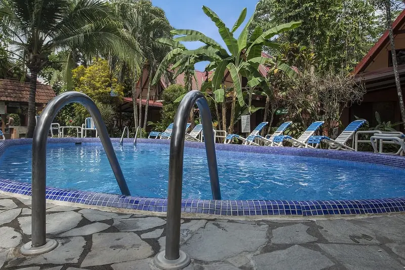 Piscina con barandas metálicas y reposeras alrededor, entre palmeras y bananos