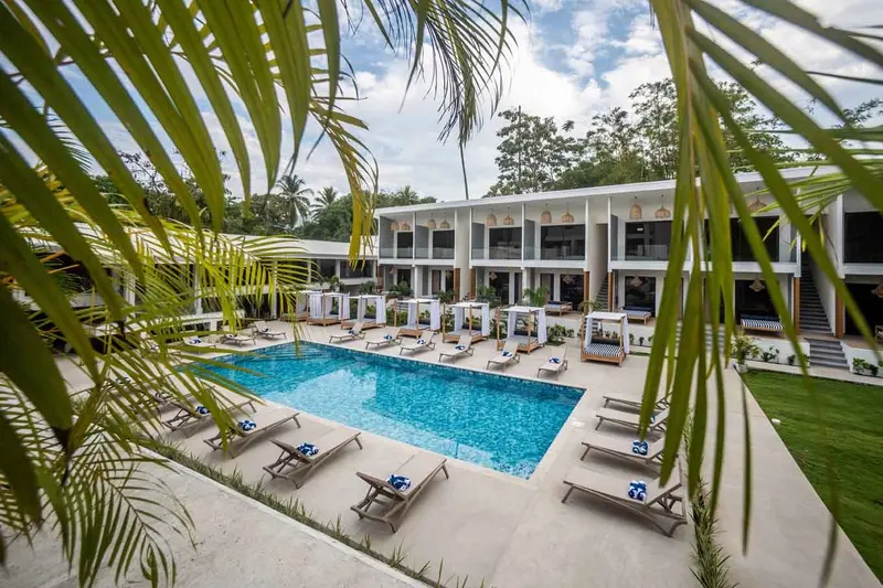 Piscina y edificio de habitaciones vistos entre hojas de palmera