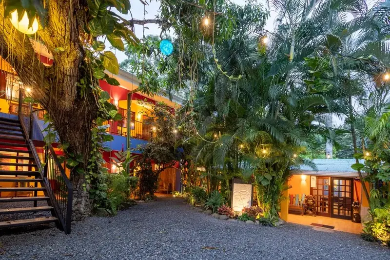 Patio con escalera, palmeras, luces colgantes y habitaciones iluminadas por la noche