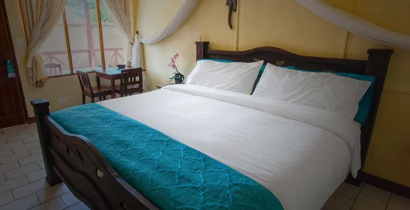 Habitación con una cama con camino azul verdoso, un mosquitero y una mesa pequeña