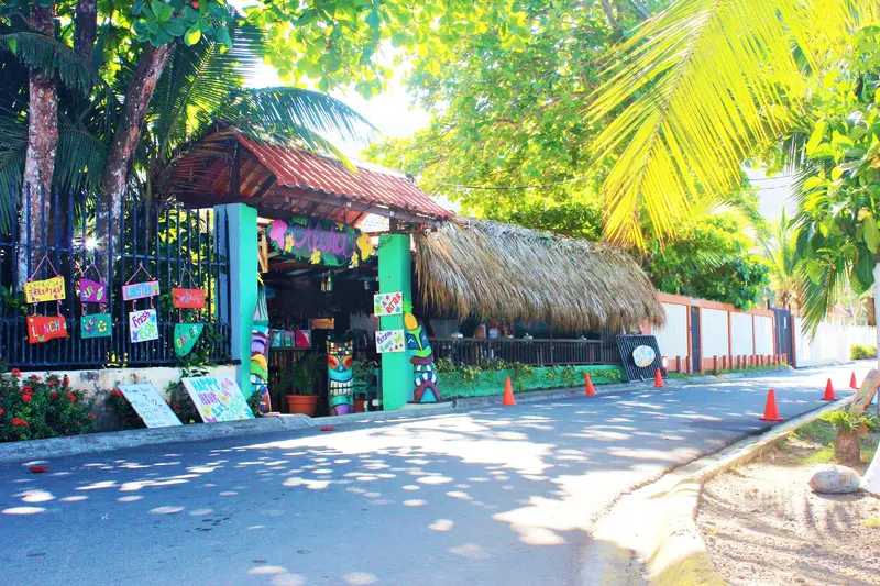 Entrada del restaurante con techo de palapa, decoración de colores y árboles alrededor