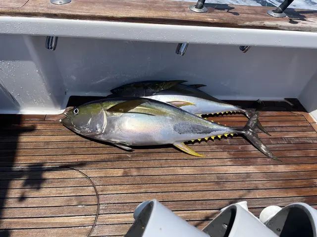 Dragin Fly Sportfishing
