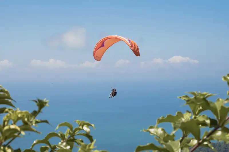 Parapente naranja sobre el mar con ramas de árboles en primer plano
