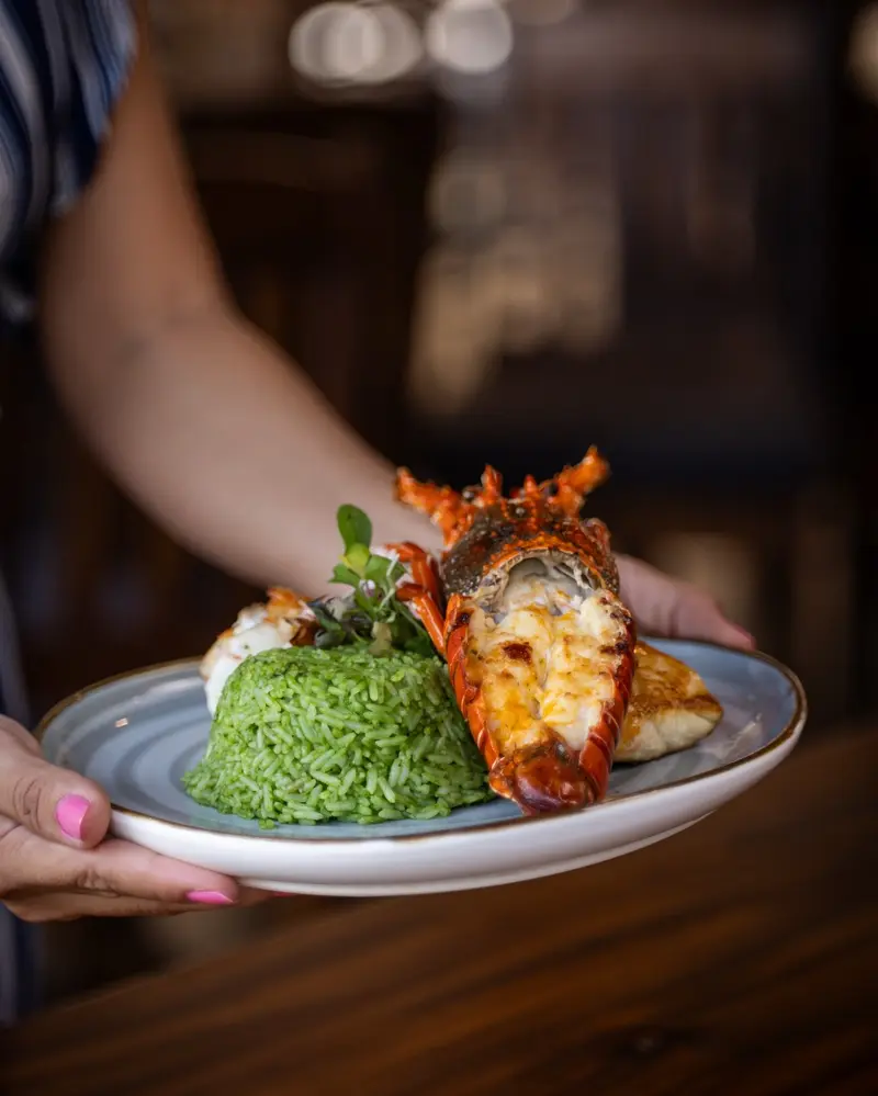 Plato con cola de langosta gratinada y arroz verde, sostenido por una mano