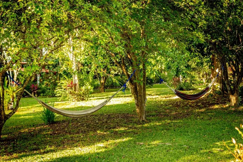 Jardín con hamacas colgadas entre árboles