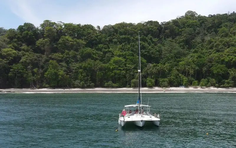 Catamarán Sealounge anclado frente a una costa cubierta de selva y una franja de playa