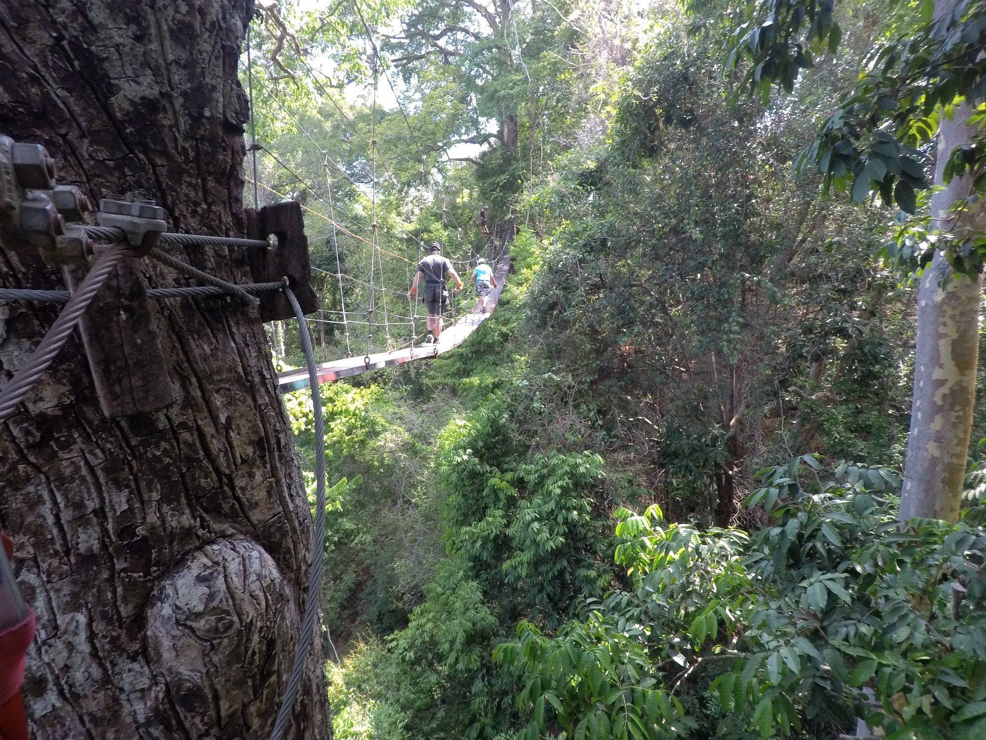 Chiclets Zipline — Actividad