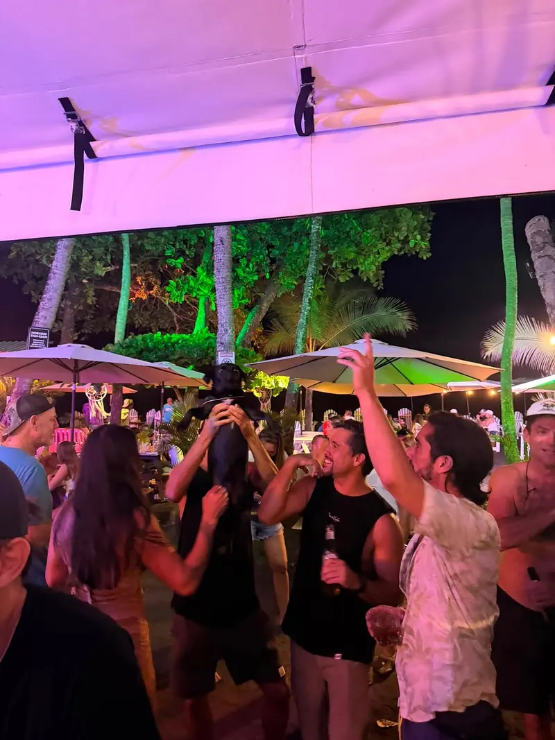 Nighttime party crowd dancing under the lit-up palm trees at Vida Hermosa