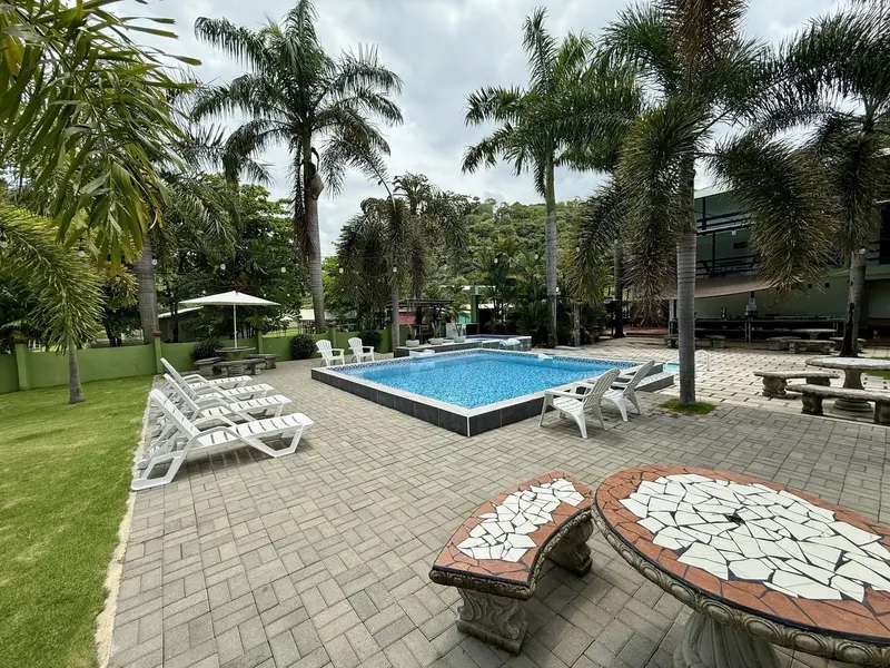 Piscina azul rodeada de palmeras, camastros blancos y bancas de mosaico sobre un patio de adoquines