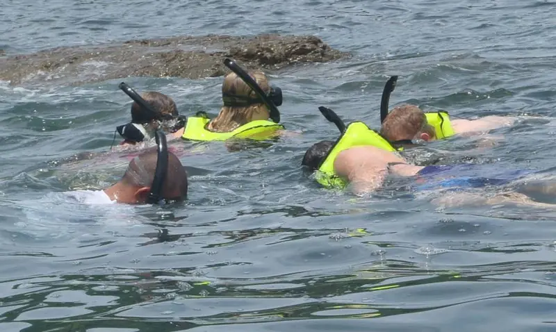 Grupo haciendo snorkel con chalecos amarillos en aguas junto a rocas