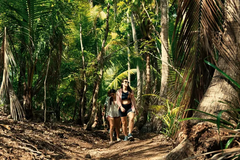 Dos personas caminando por un sendero entre palmeras y bosque tropical