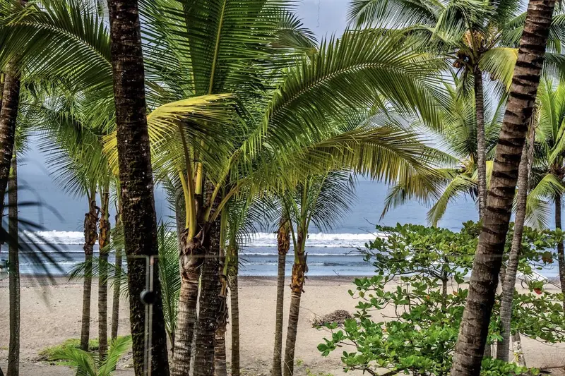 Palmeras frente a la playa y el mar, vistas desde un balcón del hotel