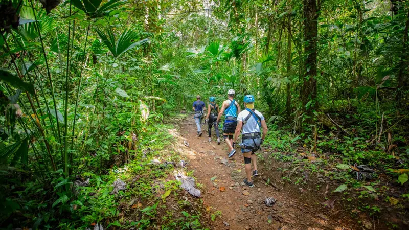 Grupo caminando por un sendero de tierra entre vegetación densa