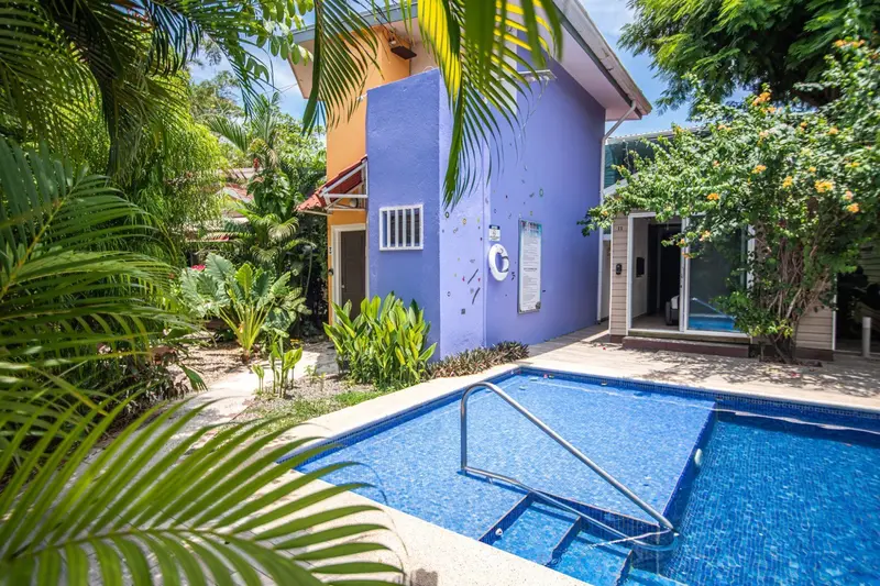 Piscina rodeada de plantas tropicales frente a una casa morada de dos pisos