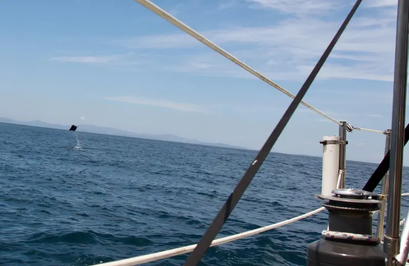Vista desde la proa del velero con el cordaje y el mar abierto