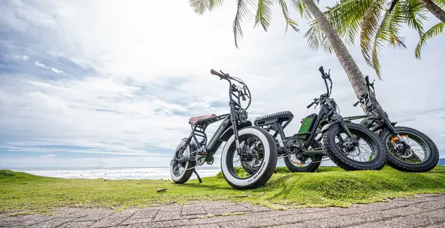 EWhip Electric Motos