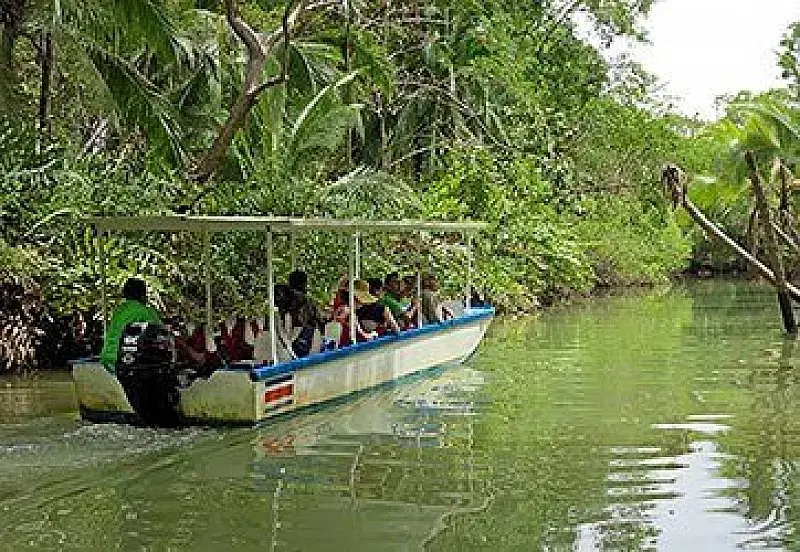 Bote cubierto con pasajeros navegando por un río entre manglares