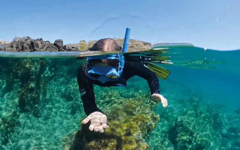 Persona haciendo snorkel sobre un arrecife de rocas, con la cámara mitad dentro y mitad fuera del agua