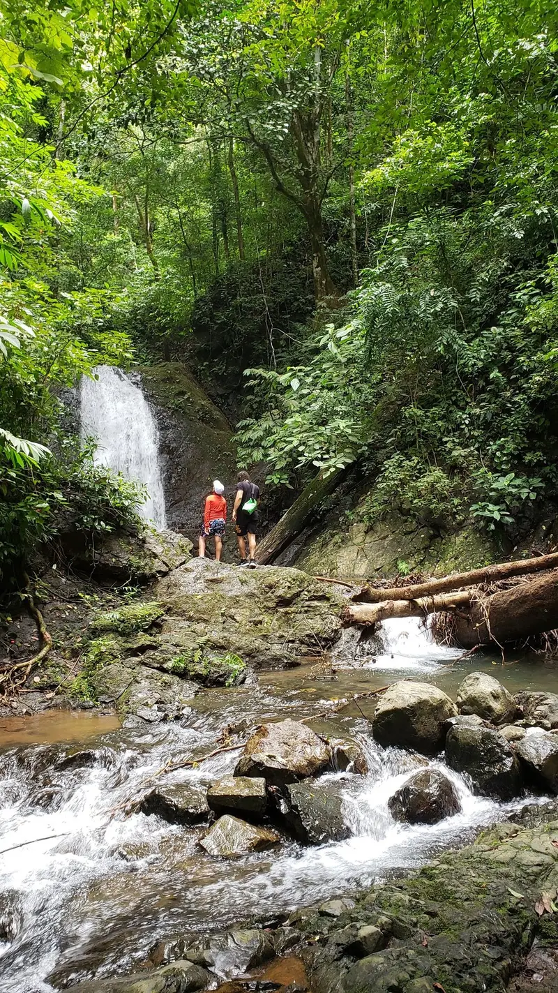 Dos excursionistas de pie junto a una cascada en un sendero de selva, con troncos y rocas en primer plano